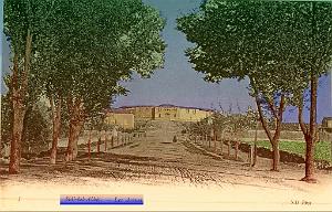 Sidi-bel-abbes 181